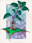Treehouse.jpg